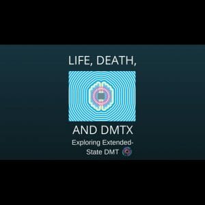 Life Death and DMTx - Joe Moore and Kyle Buller