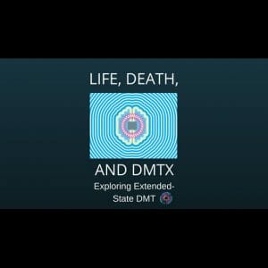 Life Death and DMTx - Joe Moore and Kyle Buller