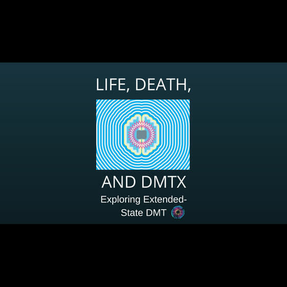 Life Death and DMTx - Joe Moore and Kyle Buller