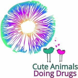 Cute Animals Doing Drugs