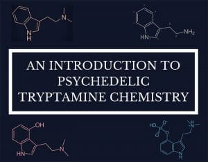 An Intro to Tryptamine Chemistry