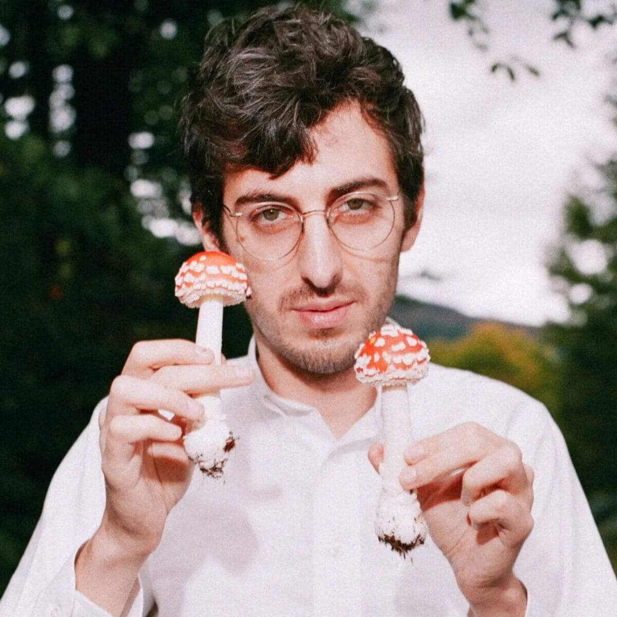 ham