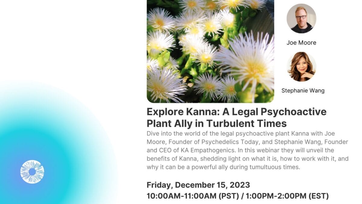 Explore Kanna: A Legal Psychoactive Plant Ally in Turbulent Times