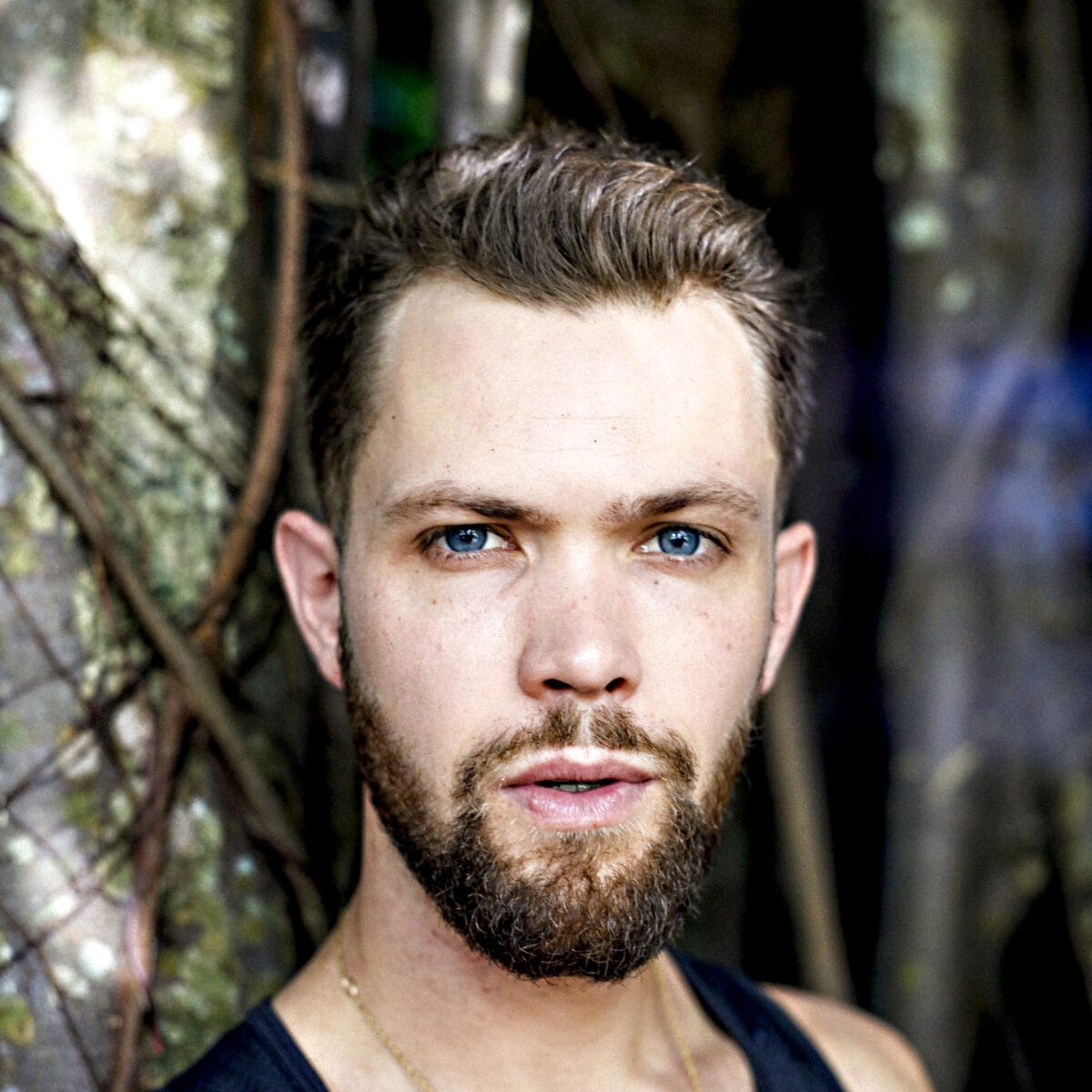 Paul Austin