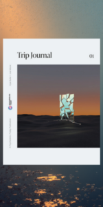 Psychedelics Today Trip Journal