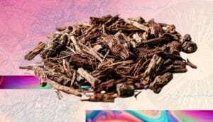 Colorado Ibogaine Bill Update - March 9, 2026